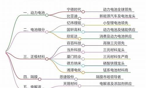 新能源汽车电池排行榜_新能源汽车电池十大品牌排名